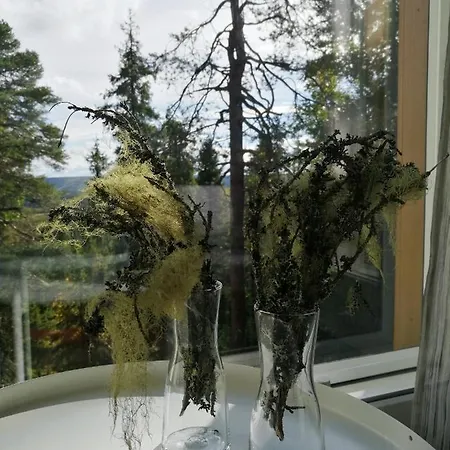 Repolainen