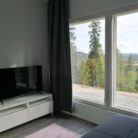 Repolainen Ferienhaus *