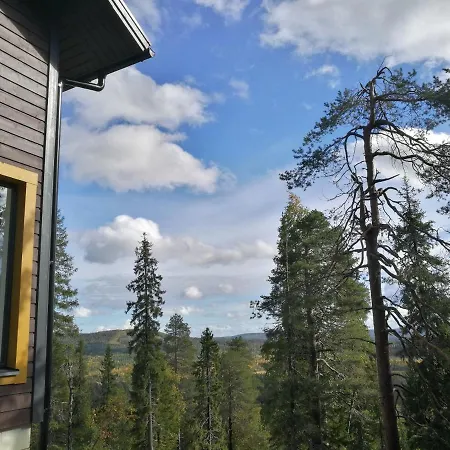 Repolainen *