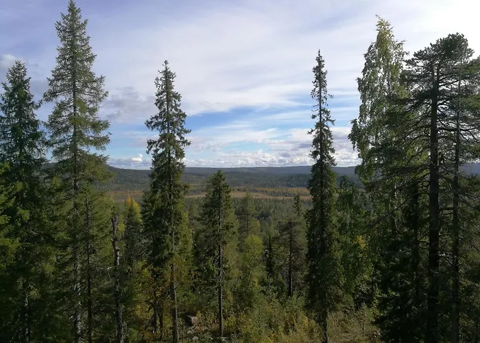 Repolainen סיוטה